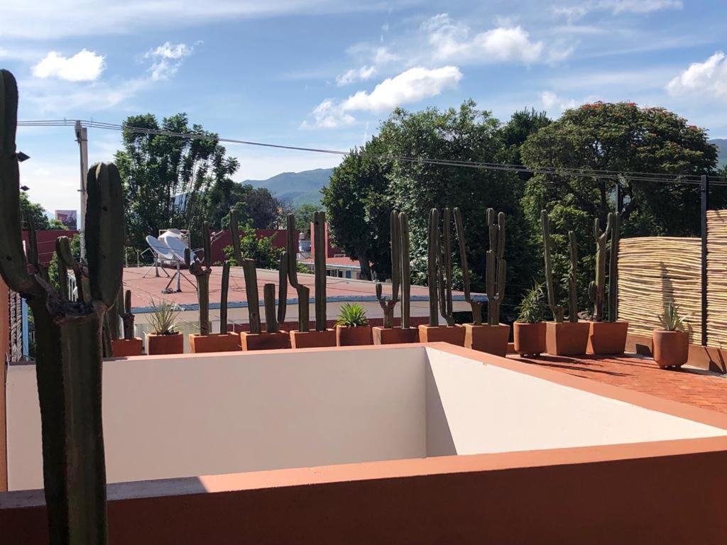 Casa Cronica Apartment Oaxaca Luaran gambar