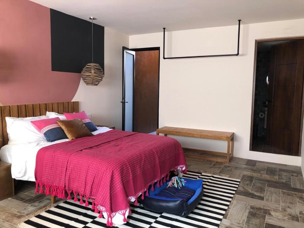 Casa Cronica Apartment Oaxaca Luaran gambar
