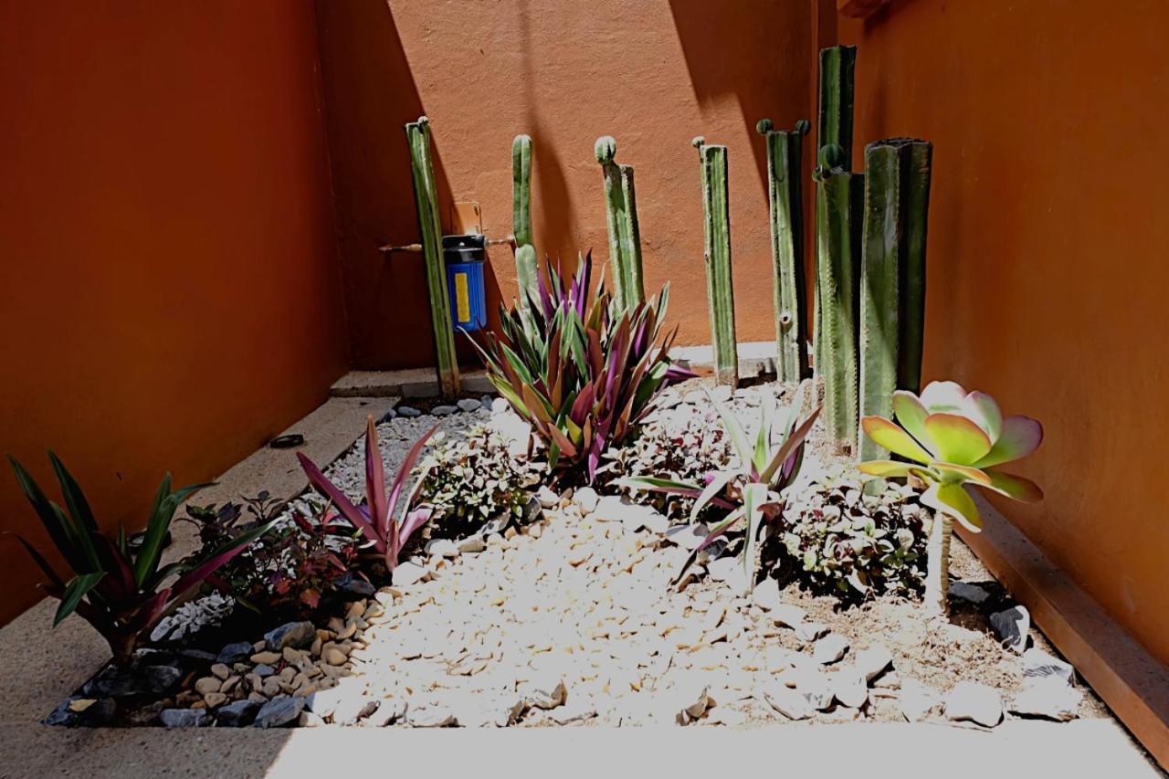 Casa Cronica Apartment Oaxaca Luaran gambar